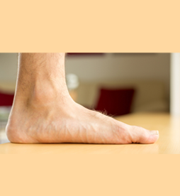 Foot